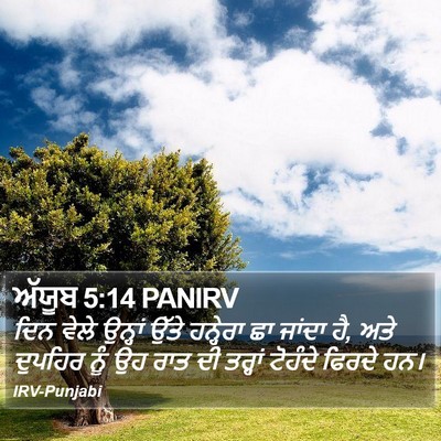 ਅੱਯੂਬ 5:14 PANIRV Bible Verse Image