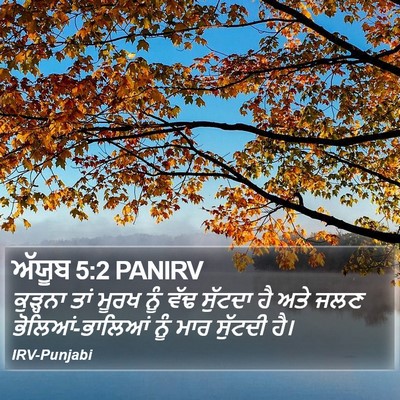 ਅੱਯੂਬ 5:2 PANIRV Bible Verse Image