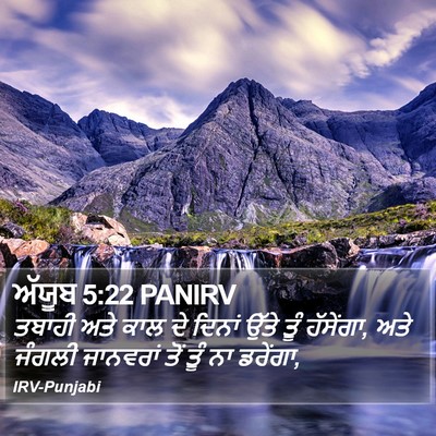 ਅੱਯੂਬ 5:22 PANIRV Bible Verse Image