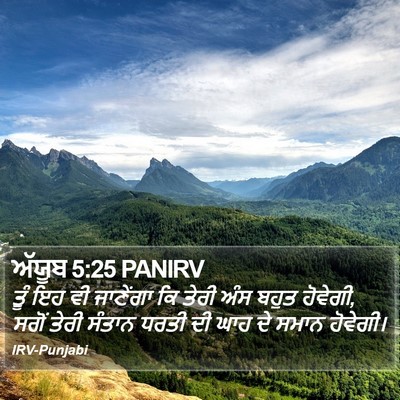 ਅੱਯੂਬ 5:25 PANIRV Bible Verse Image