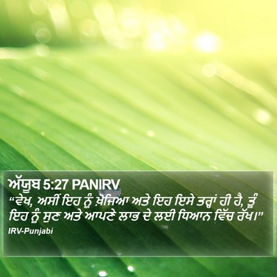 ਅੱਯੂਬ 5:27 PANIRV Bible Verse Image