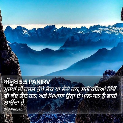 ਅੱਯੂਬ 5:5 PANIRV Bible Verse Image