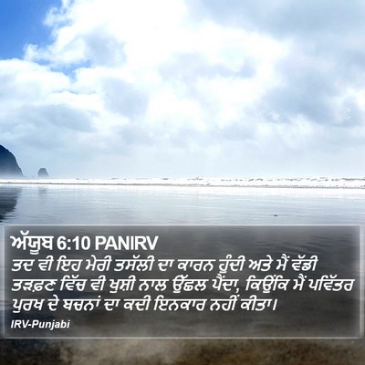 ਅੱਯੂਬ 6:10 PANIRV Bible Verse Image