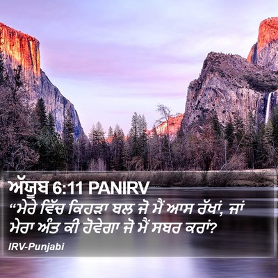 ਅੱਯੂਬ 6:11 PANIRV Bible Verse Image