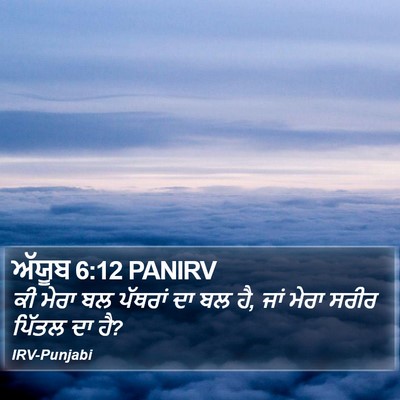 ਅੱਯੂਬ 6:12 PANIRV Bible Verse Image