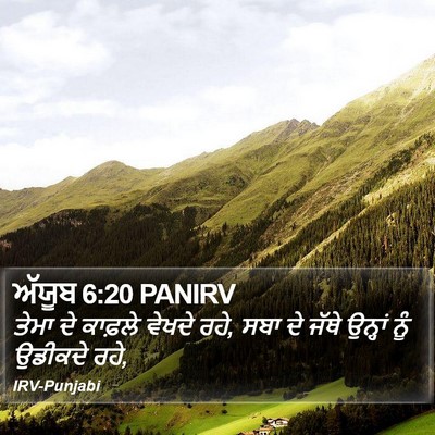 ਅੱਯੂਬ 6:20 PANIRV Bible Verse Image
