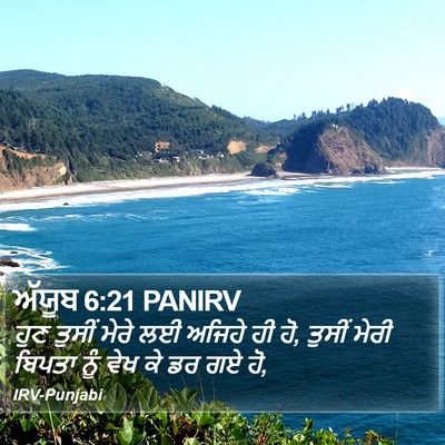 ਅੱਯੂਬ 6:21 PANIRV Bible Verse Image