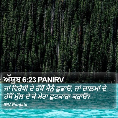 ਅੱਯੂਬ 6:23 PANIRV Bible Verse Image