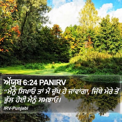 ਅੱਯੂਬ 6:24 PANIRV Bible Verse Image