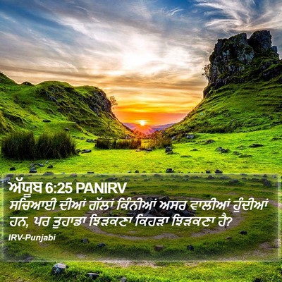 ਅੱਯੂਬ 6:25 PANIRV Bible Verse Image