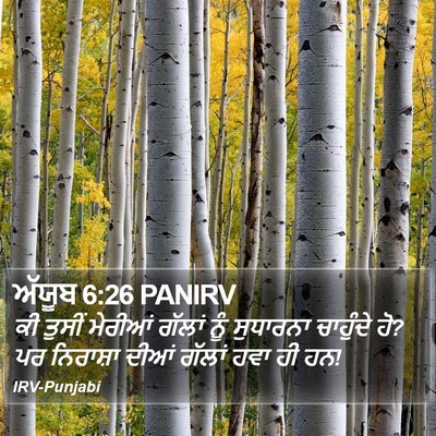 ਅੱਯੂਬ 6:26 PANIRV Bible Verse Image