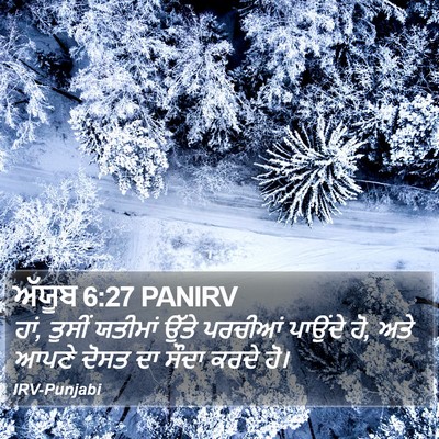 ਅੱਯੂਬ 6:27 PANIRV Bible Verse Image