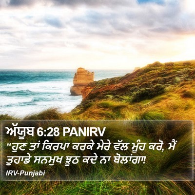 ਅੱਯੂਬ 6:28 PANIRV Bible Verse Image