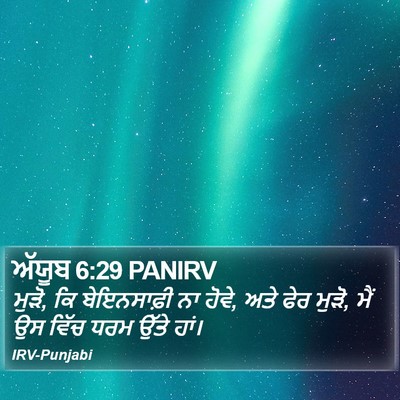 ਅੱਯੂਬ 6:29 PANIRV Bible Verse Image