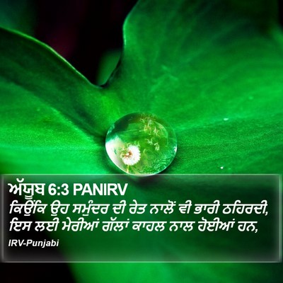 ਅੱਯੂਬ 6:3 PANIRV Bible Verse Image
