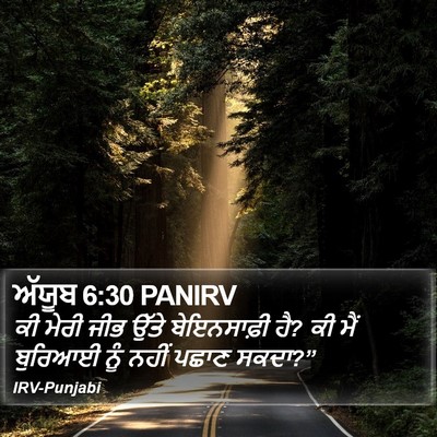 ਅੱਯੂਬ 6:30 PANIRV Bible Verse Image