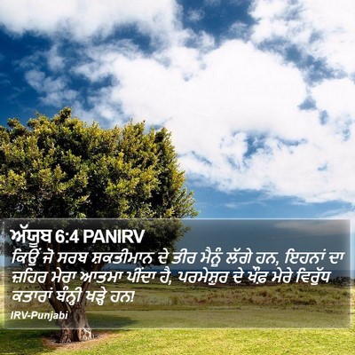 ਅੱਯੂਬ 6:4 PANIRV Bible Verse Image