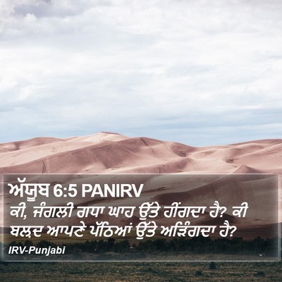 ਅੱਯੂਬ 6:5 PANIRV Bible Verse Image