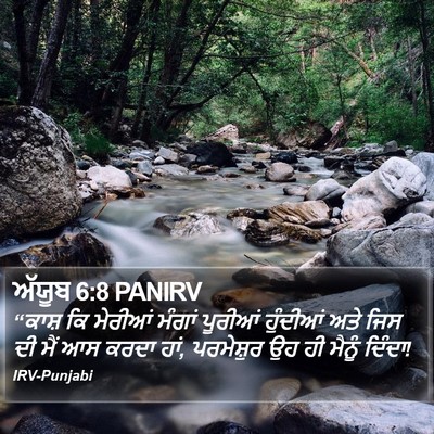 ਅੱਯੂਬ 6:8 PANIRV Bible Verse Image