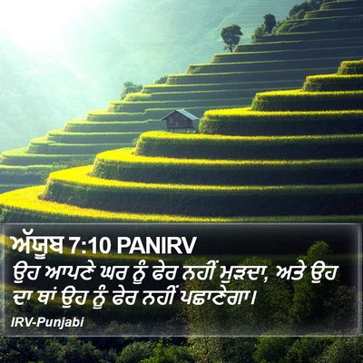ਅੱਯੂਬ 7:10 PANIRV Bible Verse Image