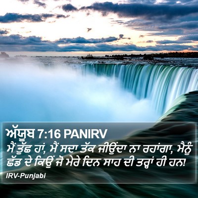 ਅੱਯੂਬ 7:16 PANIRV Bible Verse Image