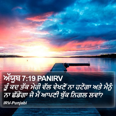 ਅੱਯੂਬ 7:19 PANIRV Bible Verse Image