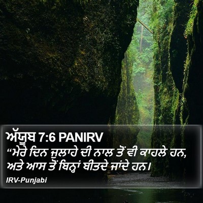 ਅੱਯੂਬ 7:6 PANIRV Bible Verse Image