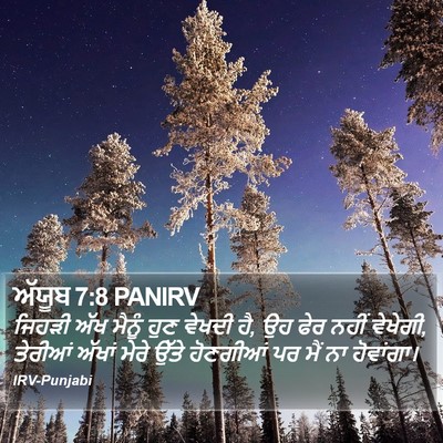 ਅੱਯੂਬ 7:8 PANIRV Bible Verse Image
