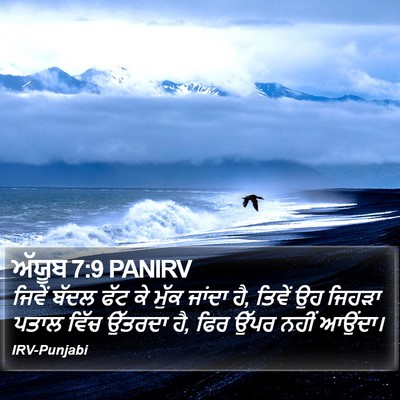 ਅੱਯੂਬ 7:9 PANIRV Bible Verse Image