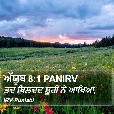 ਅੱਯੂਬ 8:1 PANIRV Bible Verse Image