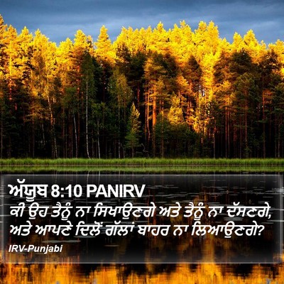 ਅੱਯੂਬ 8:10 PANIRV Bible Verse Image