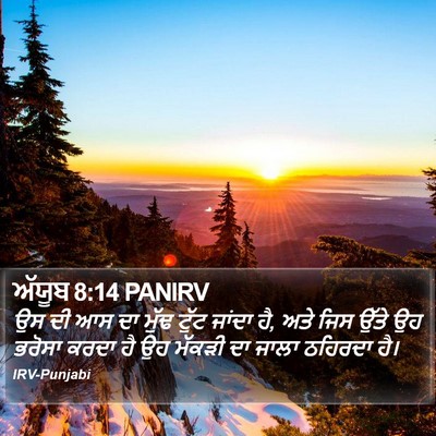ਅੱਯੂਬ 8:14 PANIRV Bible Verse Image