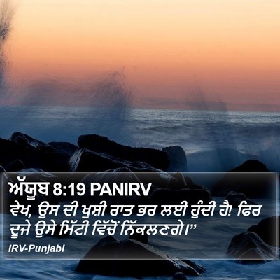 ਅੱਯੂਬ 8:19 PANIRV Bible Verse Image