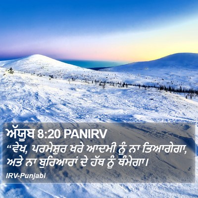 ਅੱਯੂਬ 8:20 PANIRV Bible Verse Image