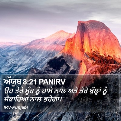 ਅੱਯੂਬ 8:21 PANIRV Bible Verse Image
