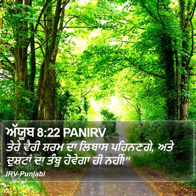 ਅੱਯੂਬ 8:22 PANIRV Bible Verse Image