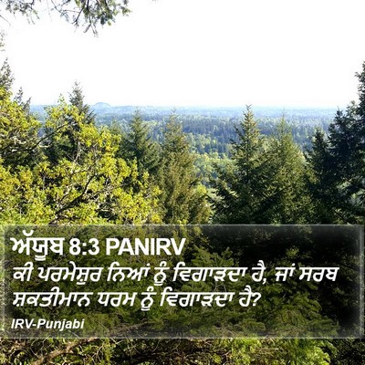 ਅੱਯੂਬ 8:3 PANIRV Bible Verse Image