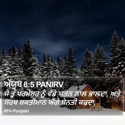 ਅੱਯੂਬ 8:5 PANIRV Bible Verse Image