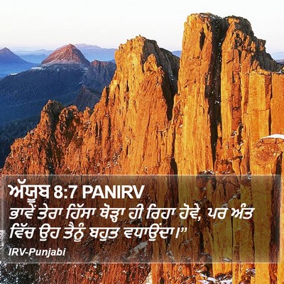 ਅੱਯੂਬ 8:7 PANIRV Bible Verse Image