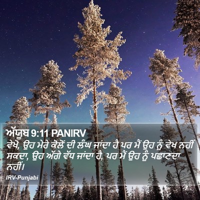 ਅੱਯੂਬ 9:11 PANIRV Bible Verse Image