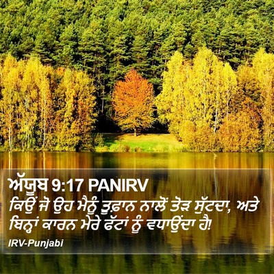 ਅੱਯੂਬ 9:17 PANIRV Bible Verse Image