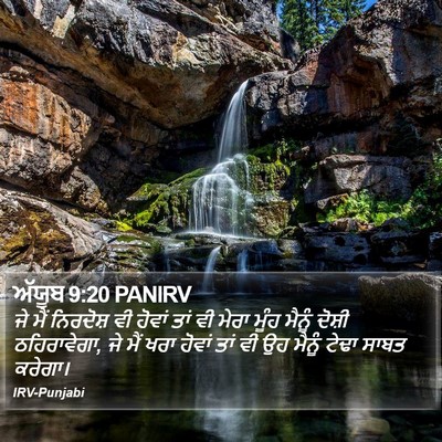 ਅੱਯੂਬ 9:20 PANIRV Bible Verse Image