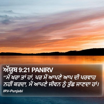 ਅੱਯੂਬ 9:21 PANIRV Bible Verse Image
