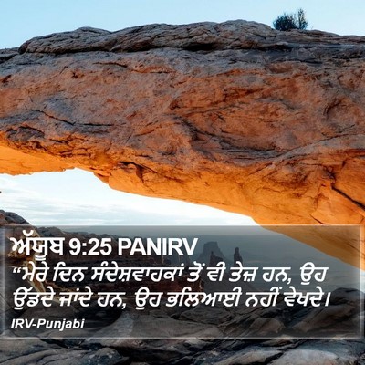 ਅੱਯੂਬ 9:25 PANIRV Bible Verse Image