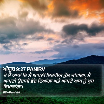 ਅੱਯੂਬ 9:27 PANIRV Bible Verse Image