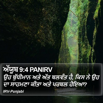 ਅੱਯੂਬ 9:4 PANIRV Bible Verse Image