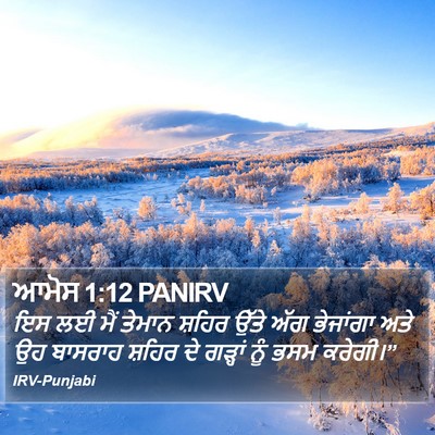 ਆਮੋਸ 1:12 PANIRV Bible Verse Image