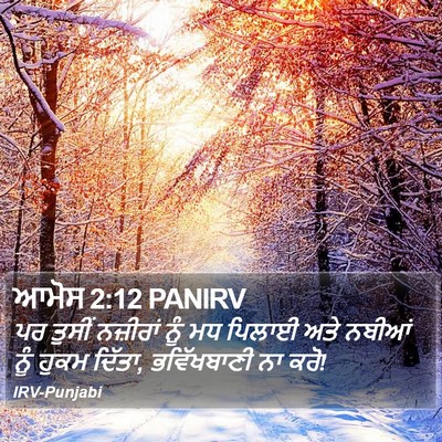 ਆਮੋਸ 2:12 PANIRV Bible Verse Image