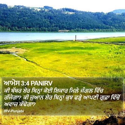 ਆਮੋਸ 3:4 PANIRV Bible Verse Image