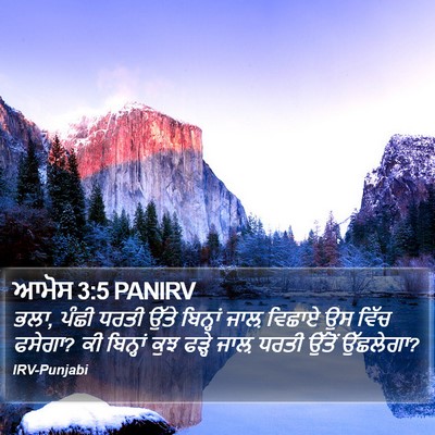 ਆਮੋਸ 3:5 PANIRV Bible Verse Image